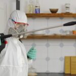 Choosing the Right Pest Control Service for Your Property