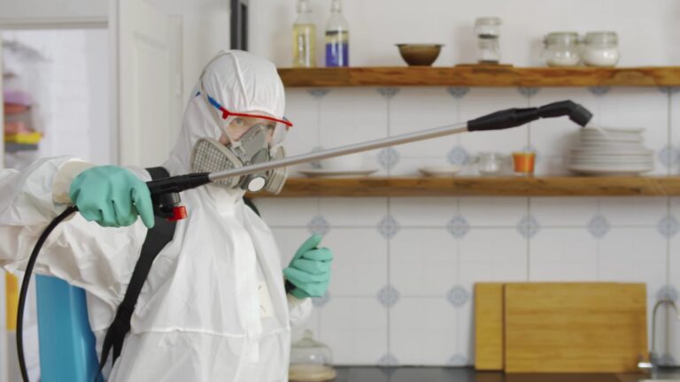 Choosing the Right Pest Control Service for Your Property